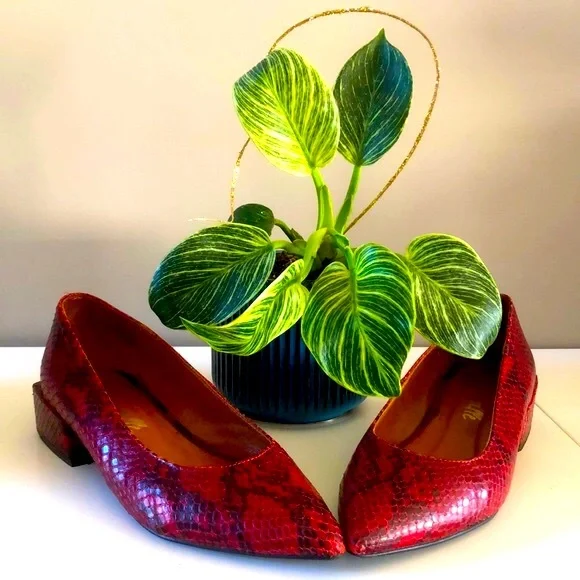 ‼️SOLD‼️L’INTERVALLE red snake skin flats, Size 6 US, Made in Spain. - Picture 1 of 13